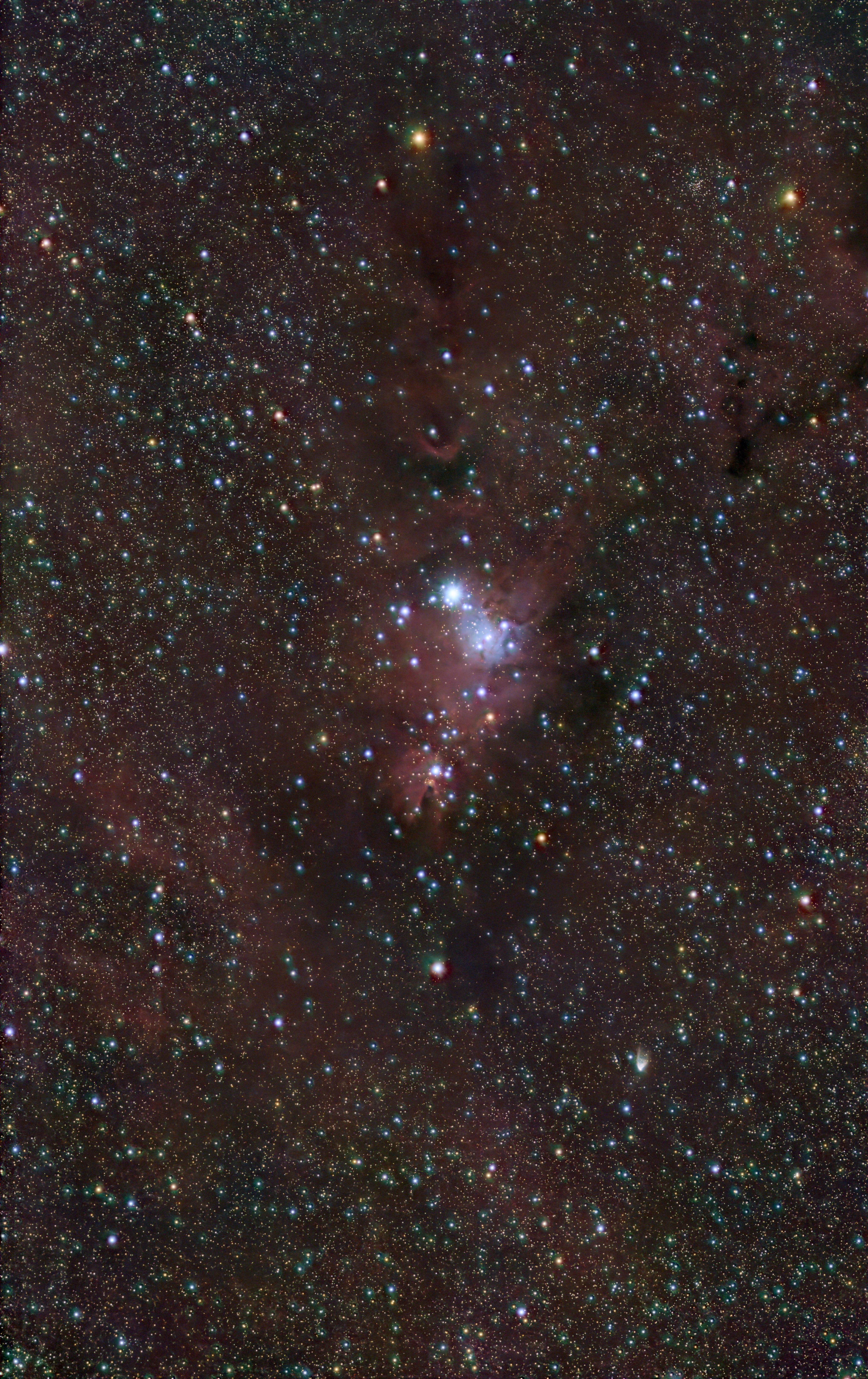 NGC 2264 (Christmas Tree Cluster)